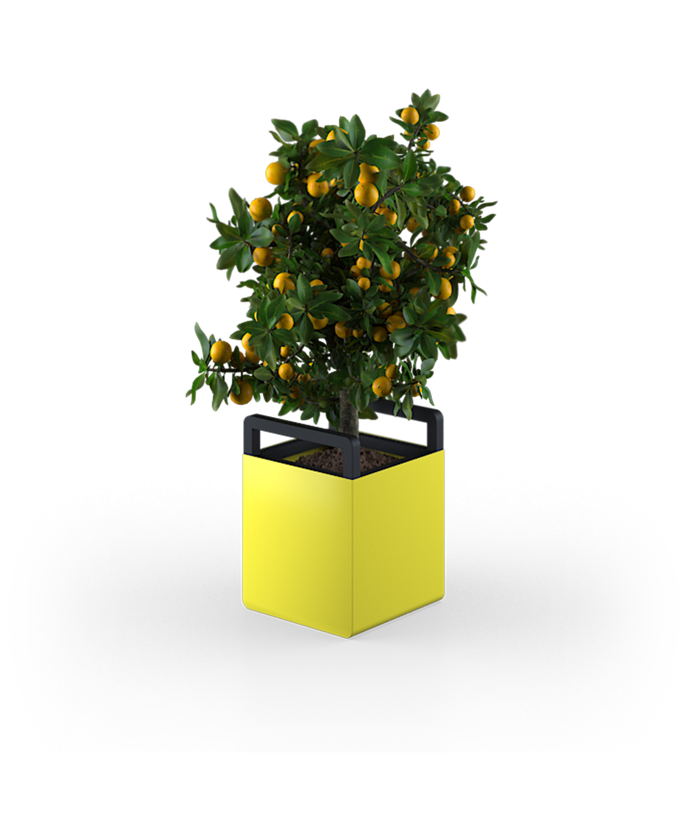 PRODUCT_KOMBO_WOOLINE_Plantbox